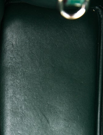 Christian Dior Leather Diorissimo Large