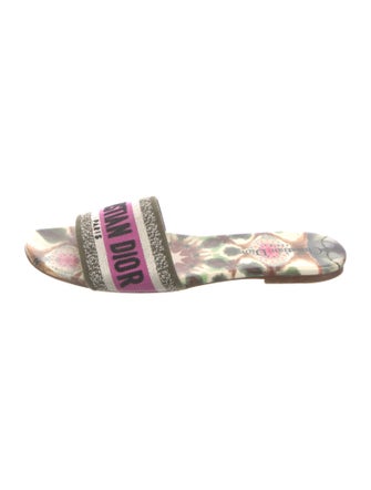 Christian Dior Canvas Printed Slides