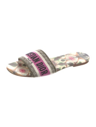 Christian Dior Canvas Printed Slides