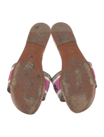 Christian Dior Canvas Printed Slides