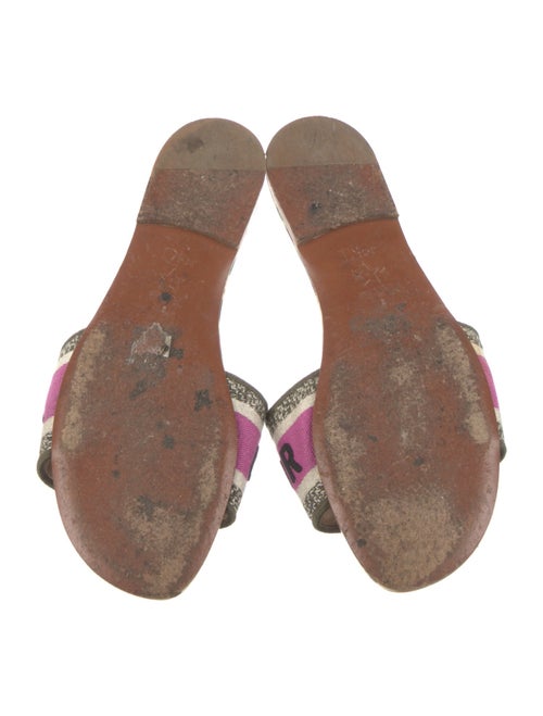 Christian Dior Canvas Printed Slides
