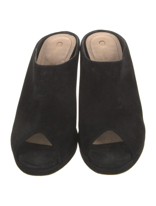 Christian Dior Suede Slides