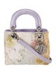 Christian Dior Snakeskin Lady Dior Mini