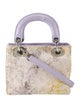 Christian Dior Snakeskin Lady Dior Mini