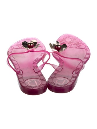 Christian Dior Rubber Flip Flops