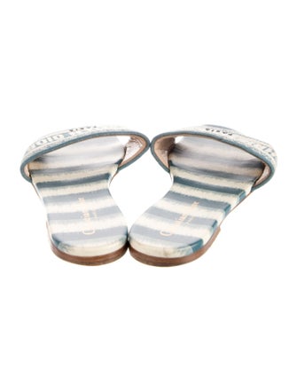 Christian Dior Dway Canvas Slides