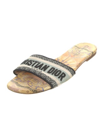 Christian Dior Canvas Printed Slides