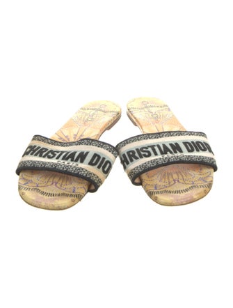 Christian Dior Canvas Printed Slides