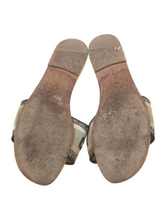 Christian Dior Canvas Printed Slides