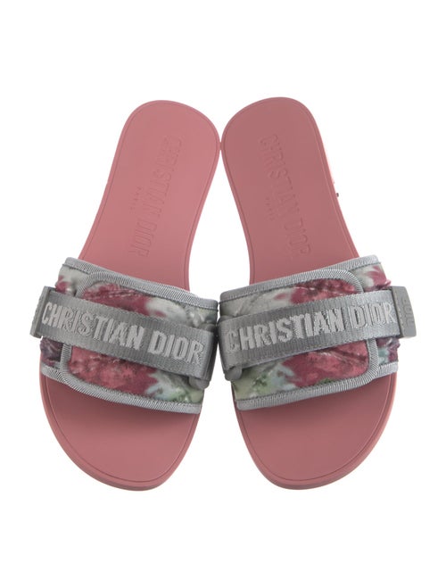 Christian Dior Evolution Printed Slides