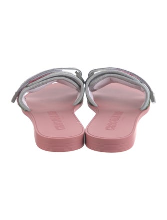 Christian Dior Evolution Printed Slides