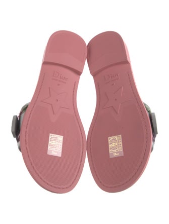 Christian Dior Evolution Printed Slides