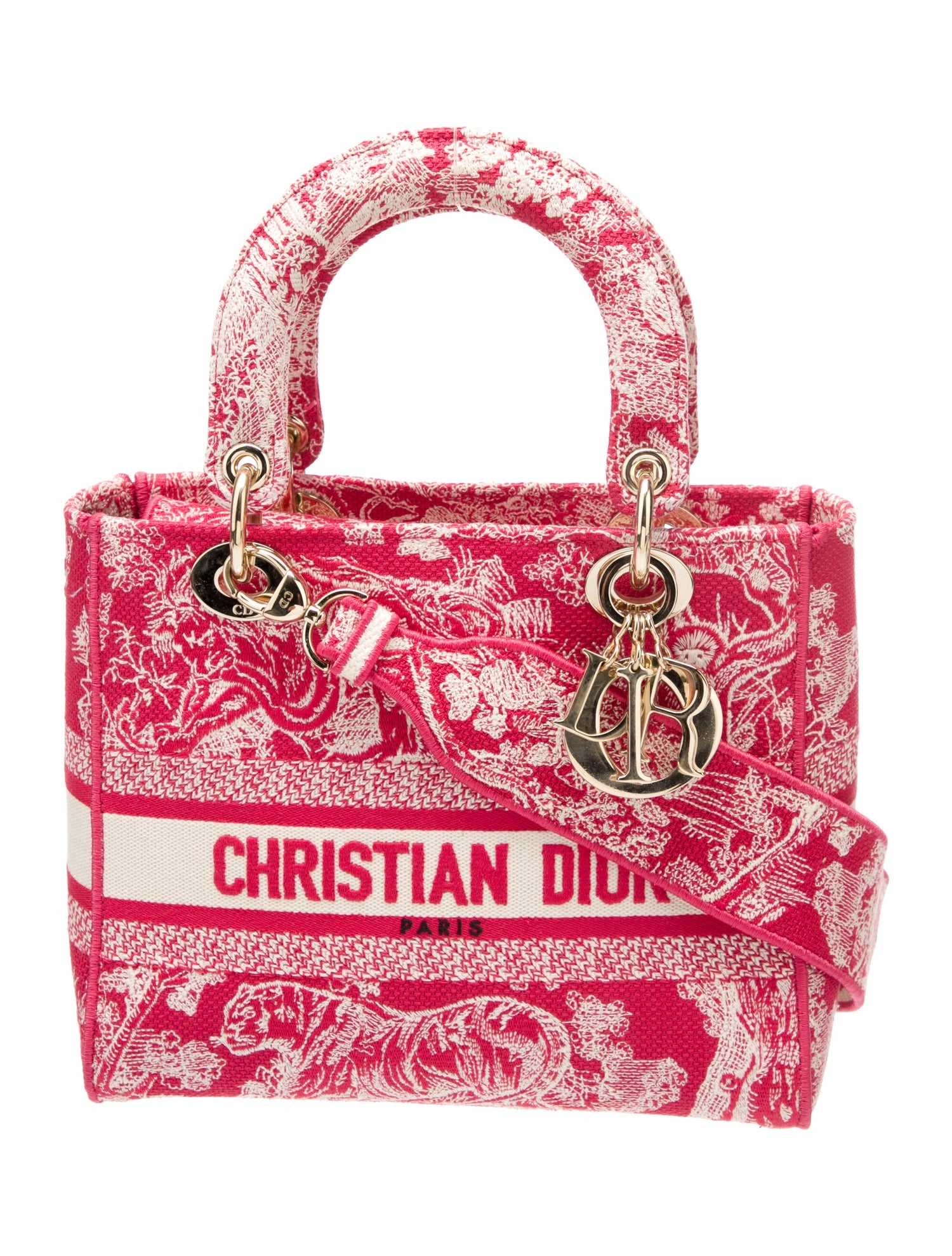 Christian Dior Toile de Jouy D-Lite Medium