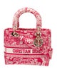Christian Dior Toile de Jouy D-Lite Medium