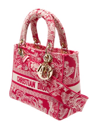 Christian Dior Toile de Jouy D-Lite Medium