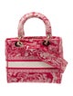 Christian Dior Toile de Jouy D-Lite Medium