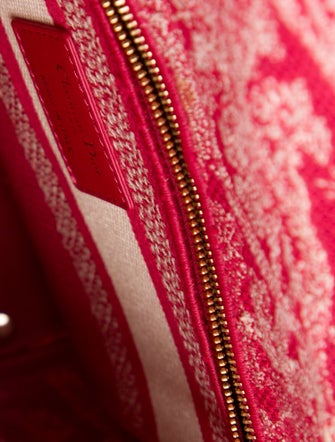 Christian Dior Toile de Jouy D-Lite Medium