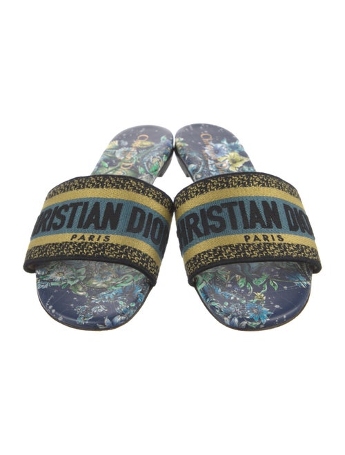 Christian Dior Printed Slides