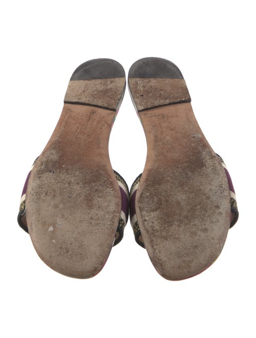 Christian Dior Canvas Printed Slides