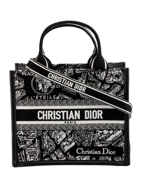 Christian Dior Canvas Book Small 2024