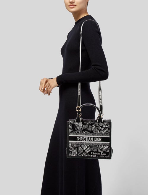 Christian Dior Canvas Book Small 2024