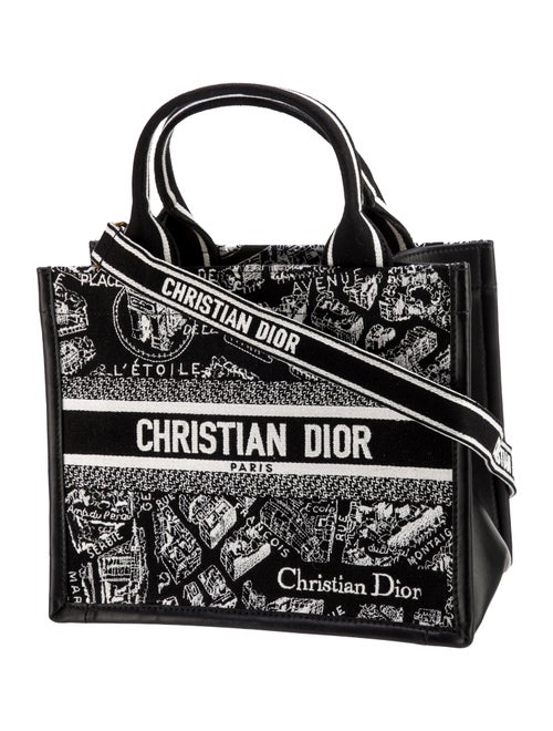 Christian Dior Canvas Book Small 2024