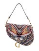 Christian Dior Saddle