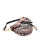 Christian Dior Saddle