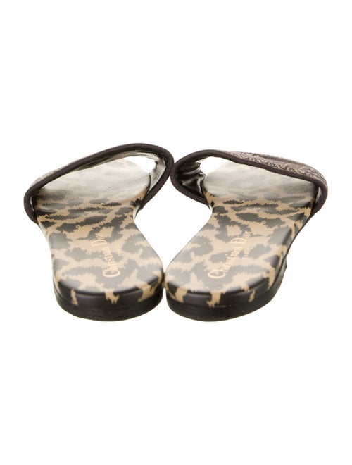 Christian Dior Canvas Printed Slides