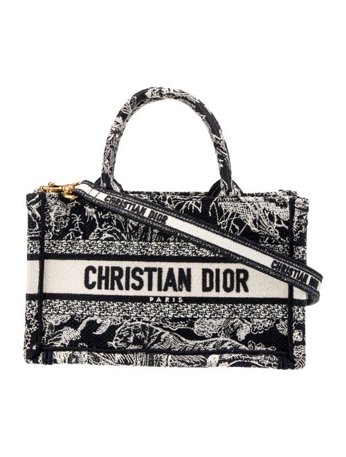 Christian Dior Toile de Jouy Book Mini 2024