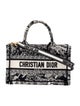 Christian Dior Toile de Jouy Book Mini 2024