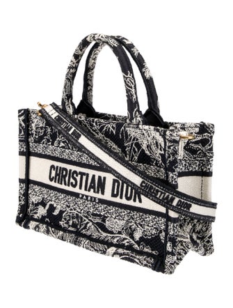 Christian Dior Toile de Jouy Book Mini 2024