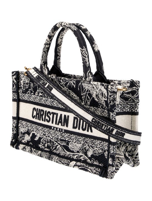 Christian Dior Toile de Jouy Book Mini 2024