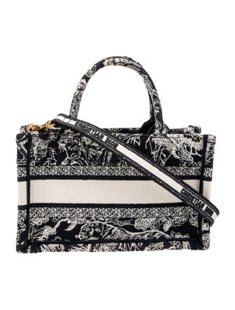 Christian Dior Toile de Jouy Book Mini 2024