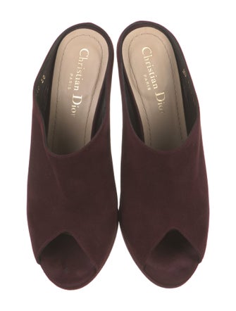 Christian Dior Suede Slides