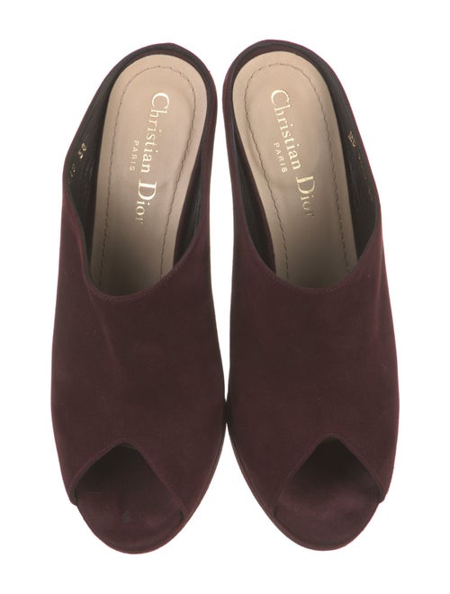 Christian Dior Suede Slides