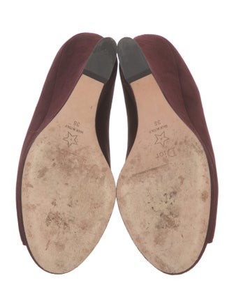 Christian Dior Suede Slides