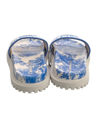 Christian Dior Canvas Printed Slides