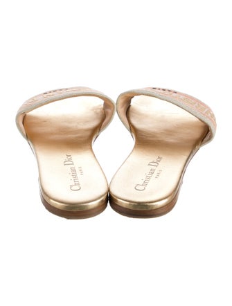 Christian Dior Printed Slides