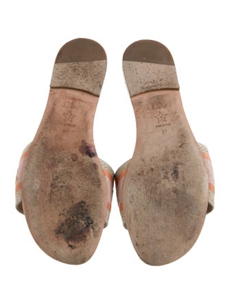 Christian Dior Printed Slides