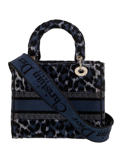 Christian Dior Canvas D-Lite Medium 2022