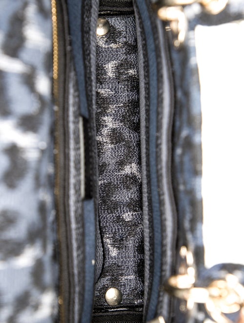 Christian Dior Canvas D-Lite Medium 2022