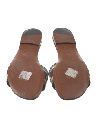 Christian Dior Canvas Printed Slides