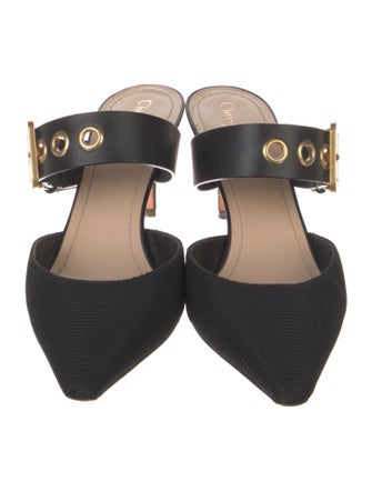 Christian Dior Mules