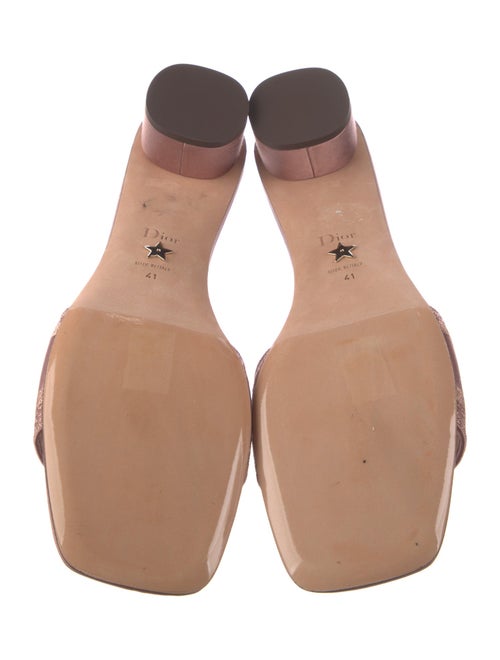 Christian Dior Embroidered Accent Slides