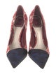 Christian Dior Canvas Printed Pumps