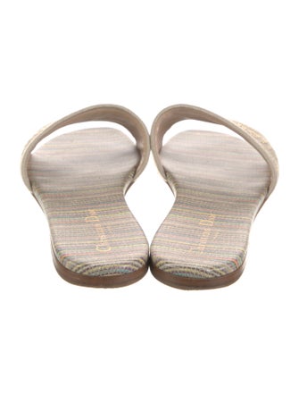 Christian Dior Canvas Printed Slides