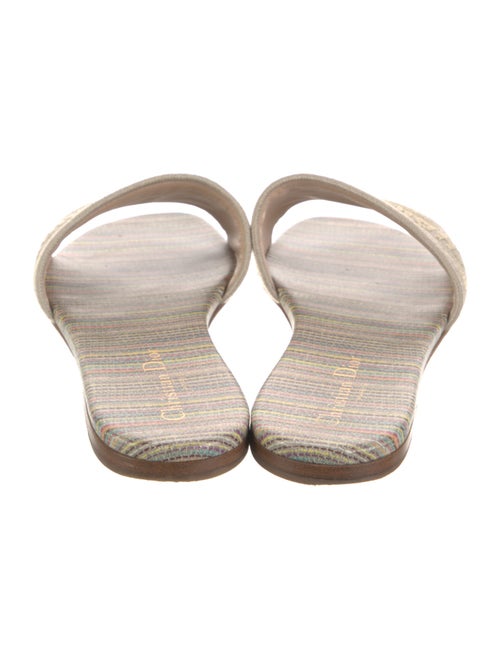 Christian Dior Canvas Printed Slides