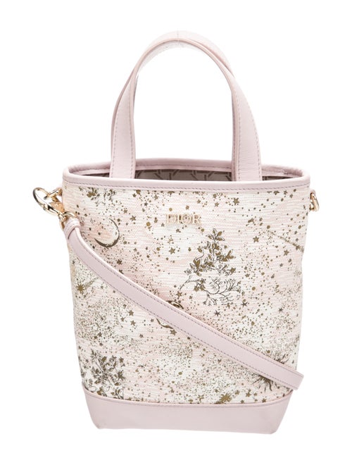 Christian Dior Canvas Top Handle Bag 2021