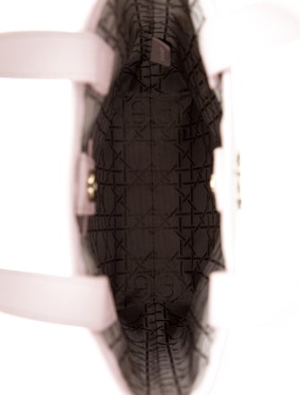 Christian Dior Canvas Top Handle Bag 2021